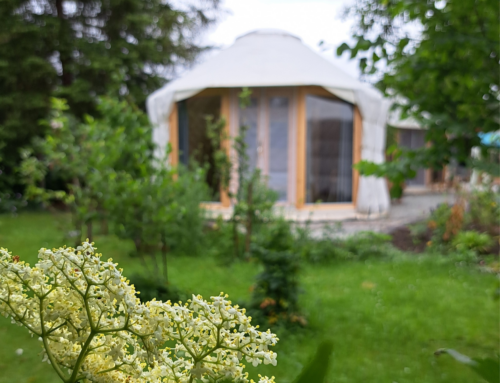 WildkräuterWellness am Kastanienhof: ab 15.02.2026 in der Jurte